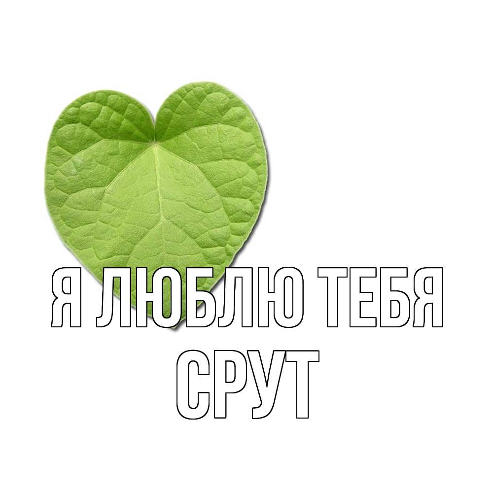Открытка  с именем. срут, Я люблю тебя  