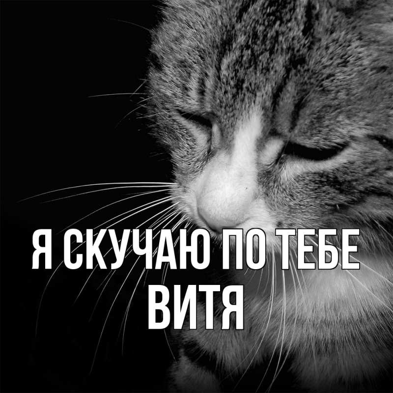 Картинка Я скучаю по тебе, Витя