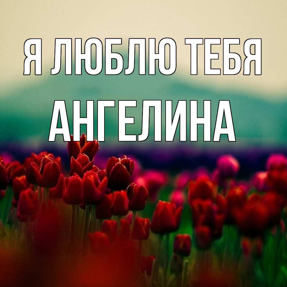 Открытка  с именем. Ангелина, Я люблю тебя  