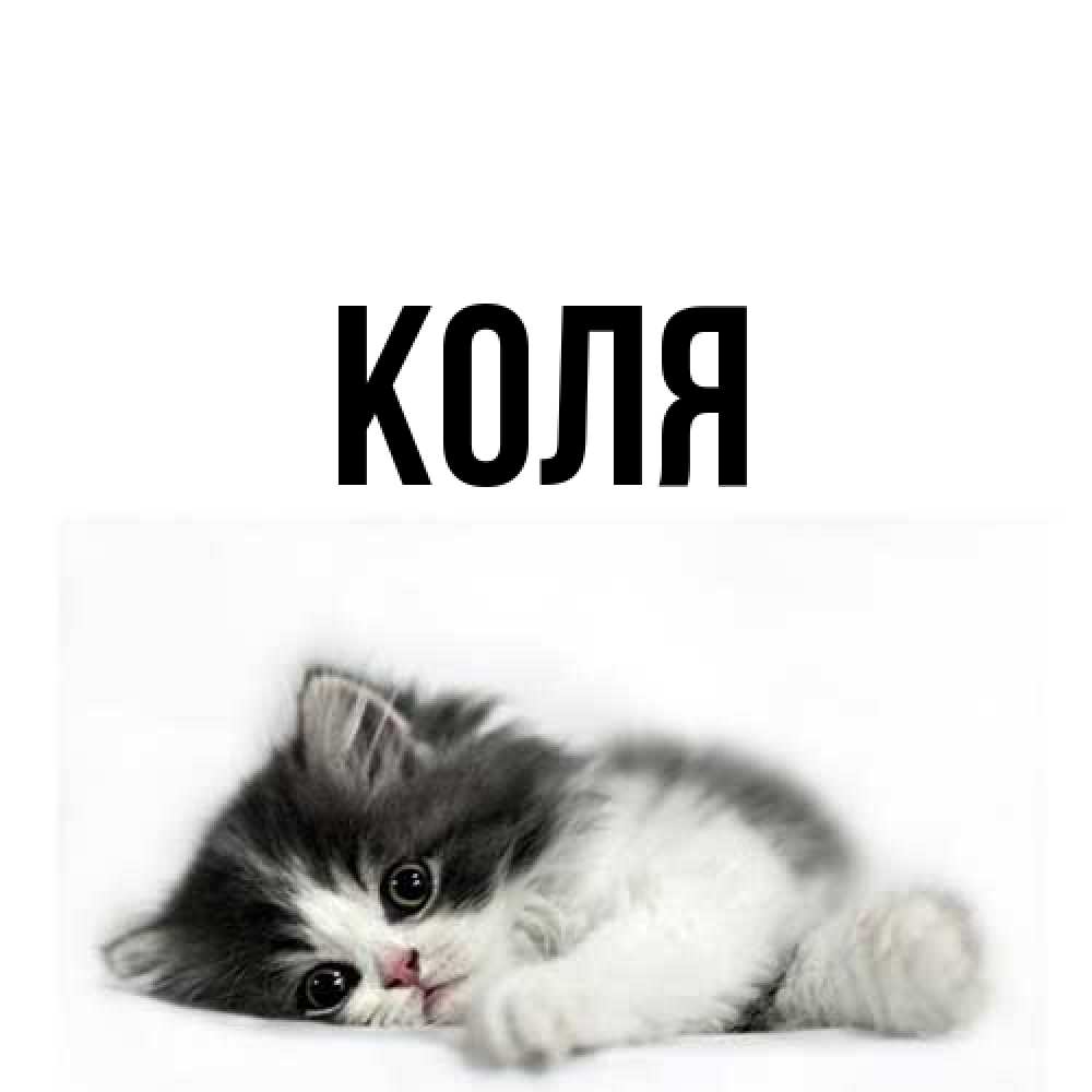 Открытка  с именем. коля, Главная  