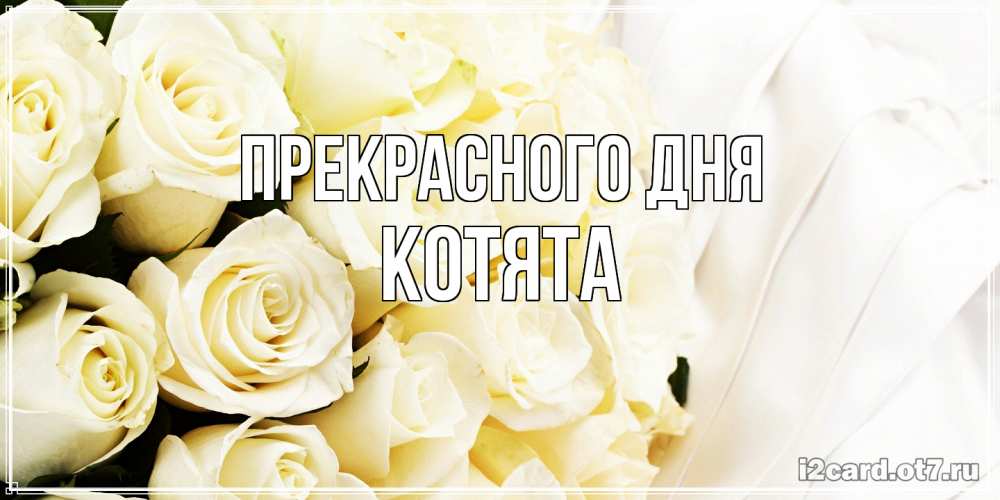 Открытка  с именем. Котята, Прекрасного дня  