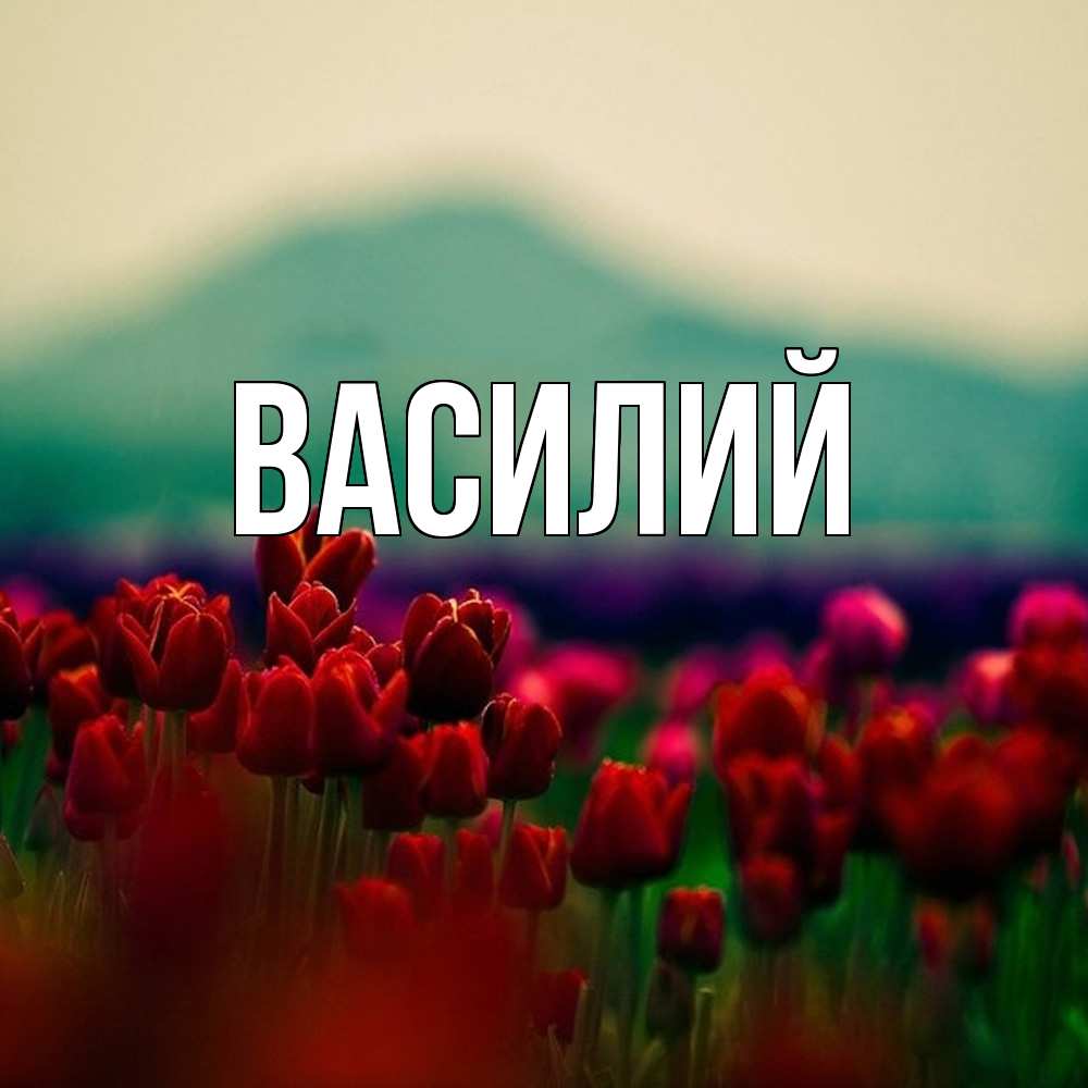 Открытка  с именем. Василий, Главная  