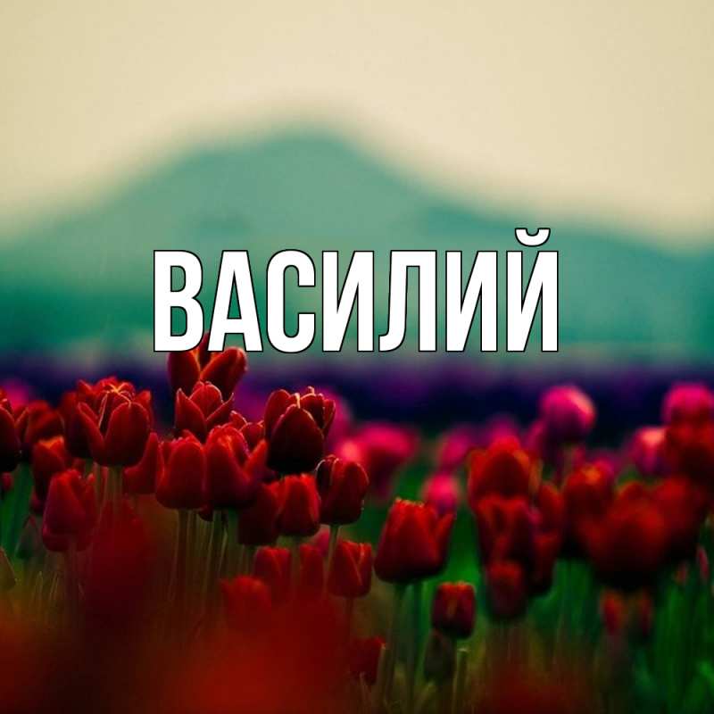 Картинка  с именем , Василий