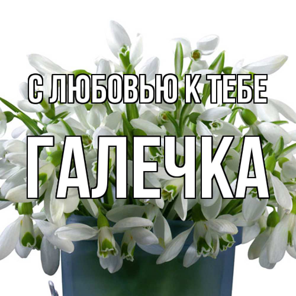 Открытка  с именем. Галечка, С любовью к тебе  