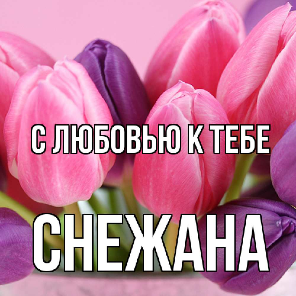 Открытка  с именем. Снежана, С любовью к тебе  