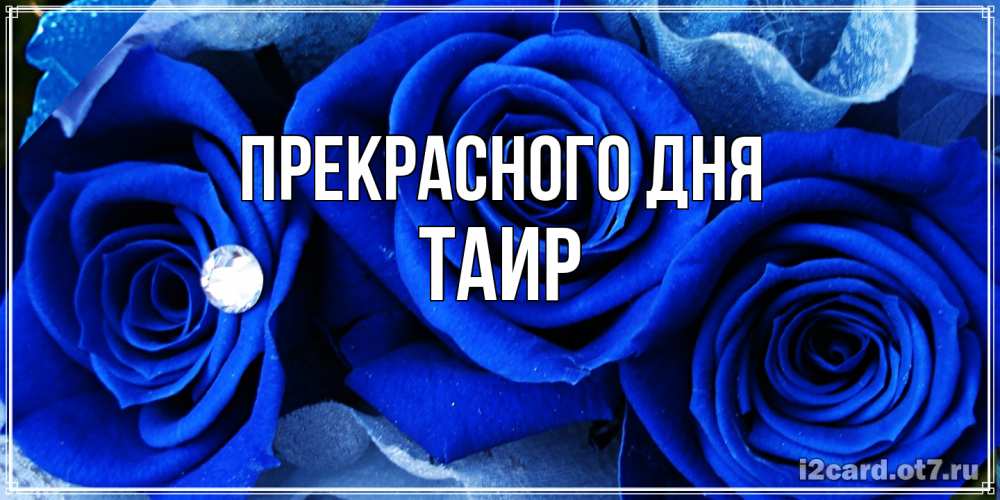 Открытка  с именем. Таир, Прекрасного дня  