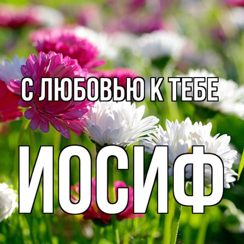 Открытка с именем, Иосиф, С любовью к тебе