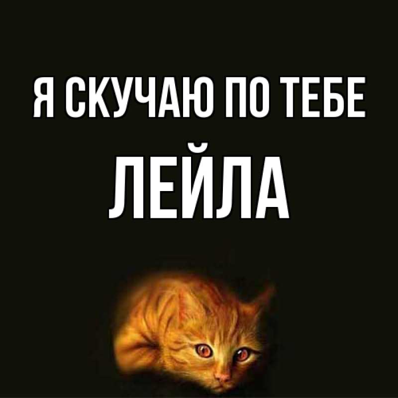 Картинка Я скучаю по тебе, Лейла