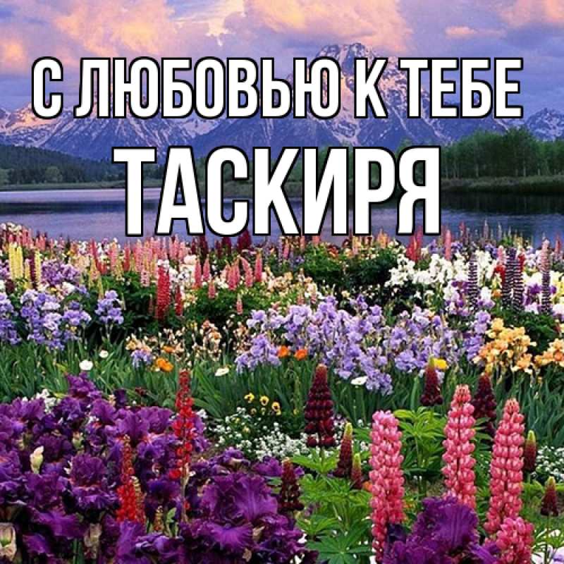 Картинка С любовью к тебе, Таскиря