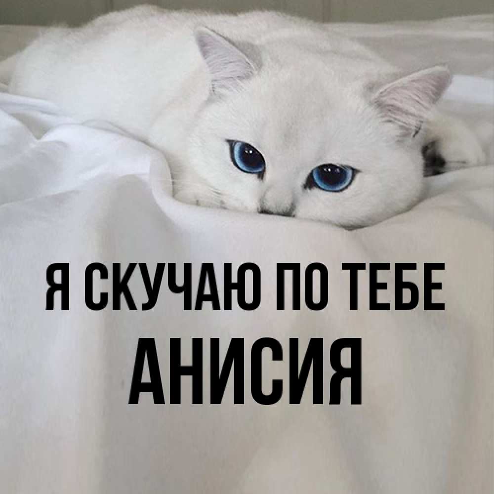 Открытка  с именем. Анисия, Я скучаю по тебе  