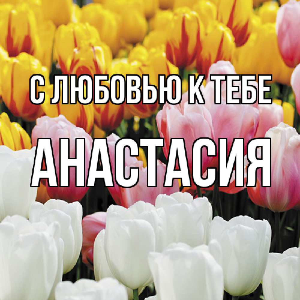 Открытка  с именем. Анастасия, С любовью к тебе  