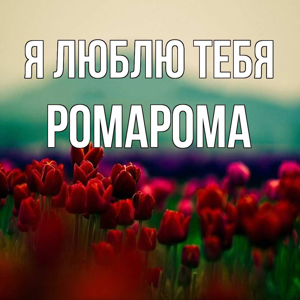 Открытка  с именем. РомаРома, Я люблю тебя  