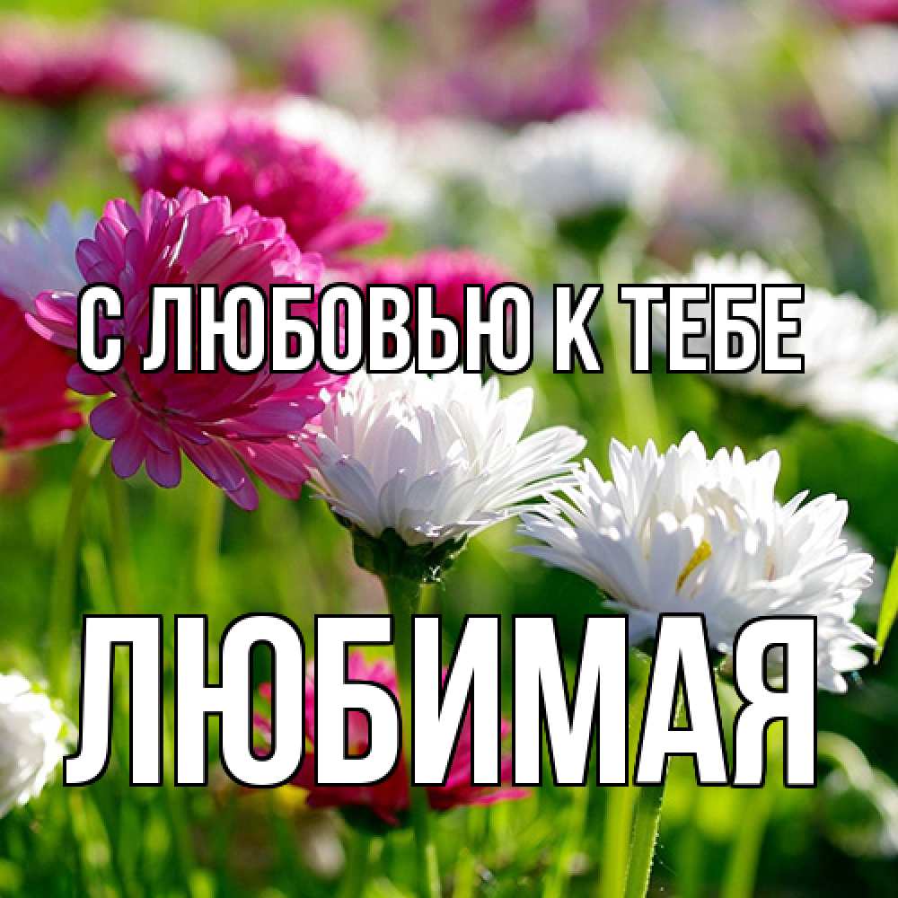 Открытка  с именем. Любимая, С любовью к тебе  