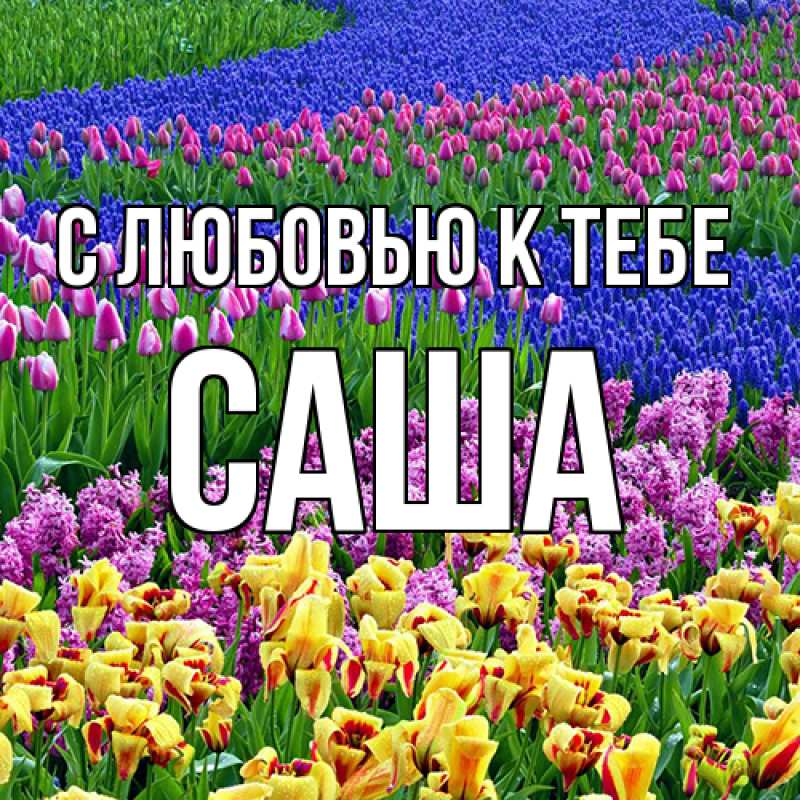 Картинка С любовью к тебе, Саша