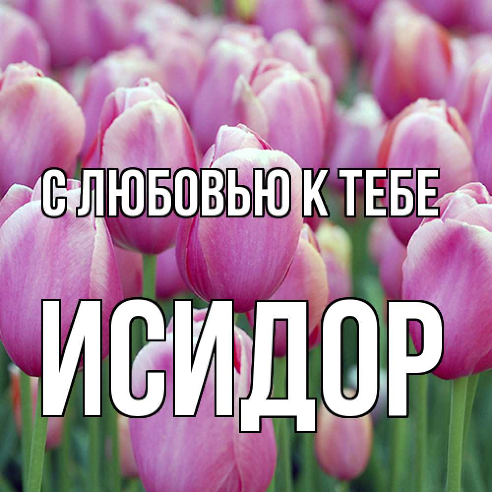 Открытка  с именем. Исидор, С любовью к тебе  