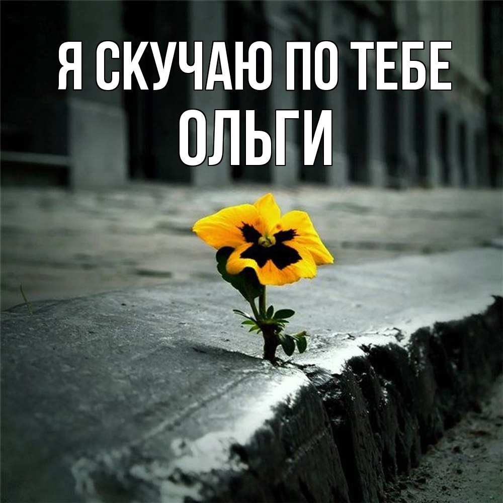 Открытка  с именем. Ольги, Я скучаю по тебе  