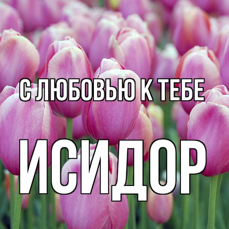 Картинка С любовью к тебе, Исидор