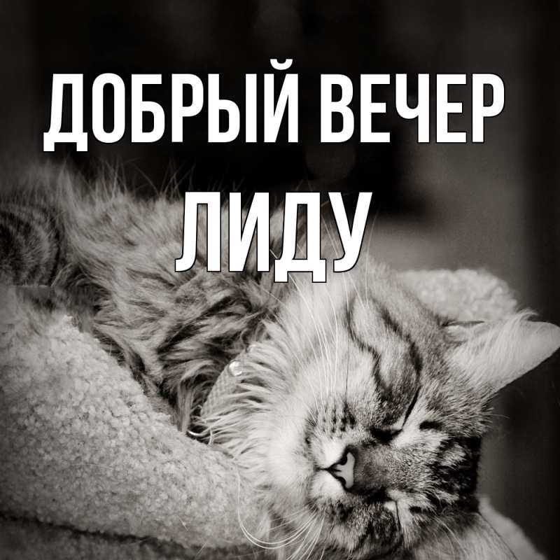 Картинка Добрый вечер, Лиду