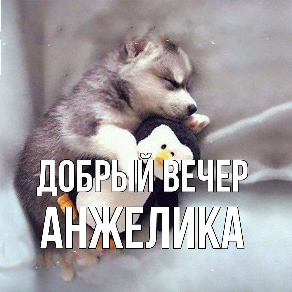 Открытка  с именем. Анжелика, Добрый вечер  