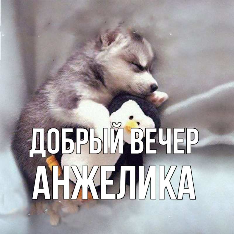 Картинка Добрый вечер, Анжелика