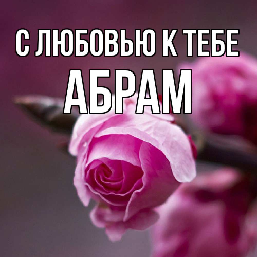 Открытка  с именем. Абрам, С любовью к тебе  
