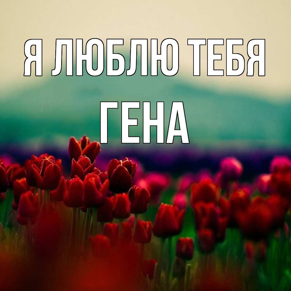 Открытка  с именем. Гена, Я люблю тебя  