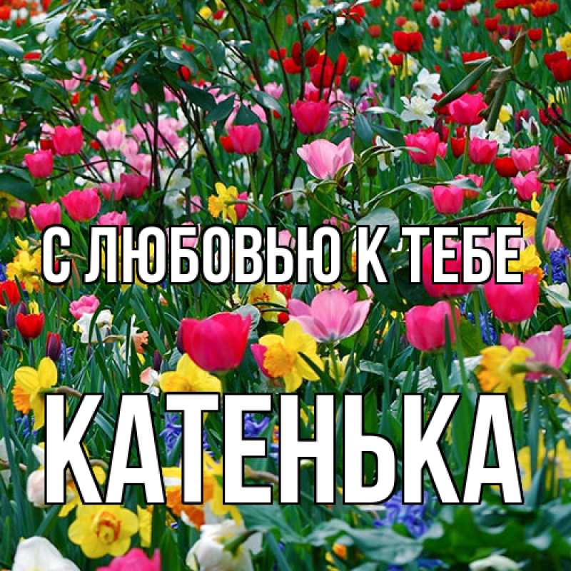 Картинка С любовью к тебе, Катенька