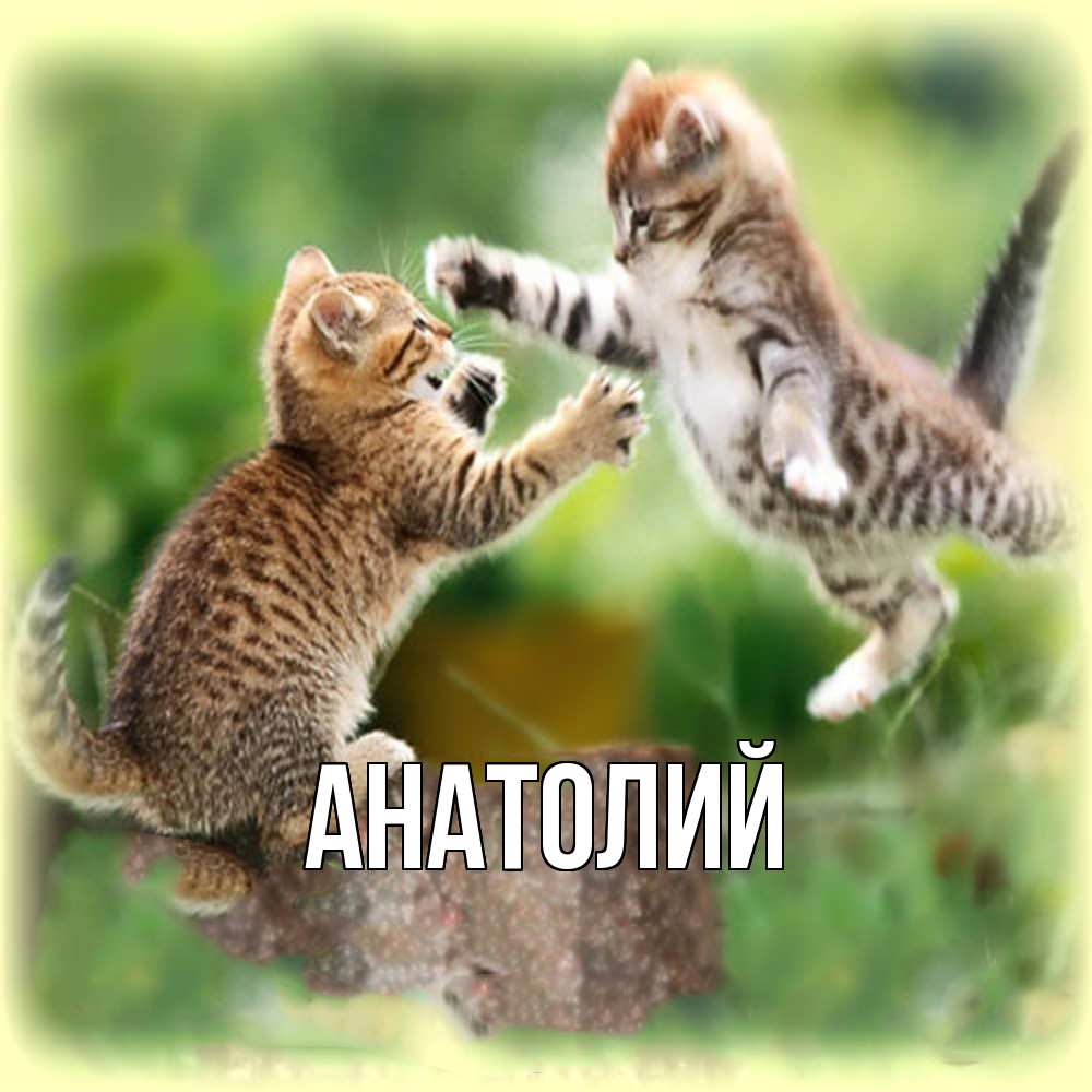 Открытка  с именем. Анатолий, Главная  