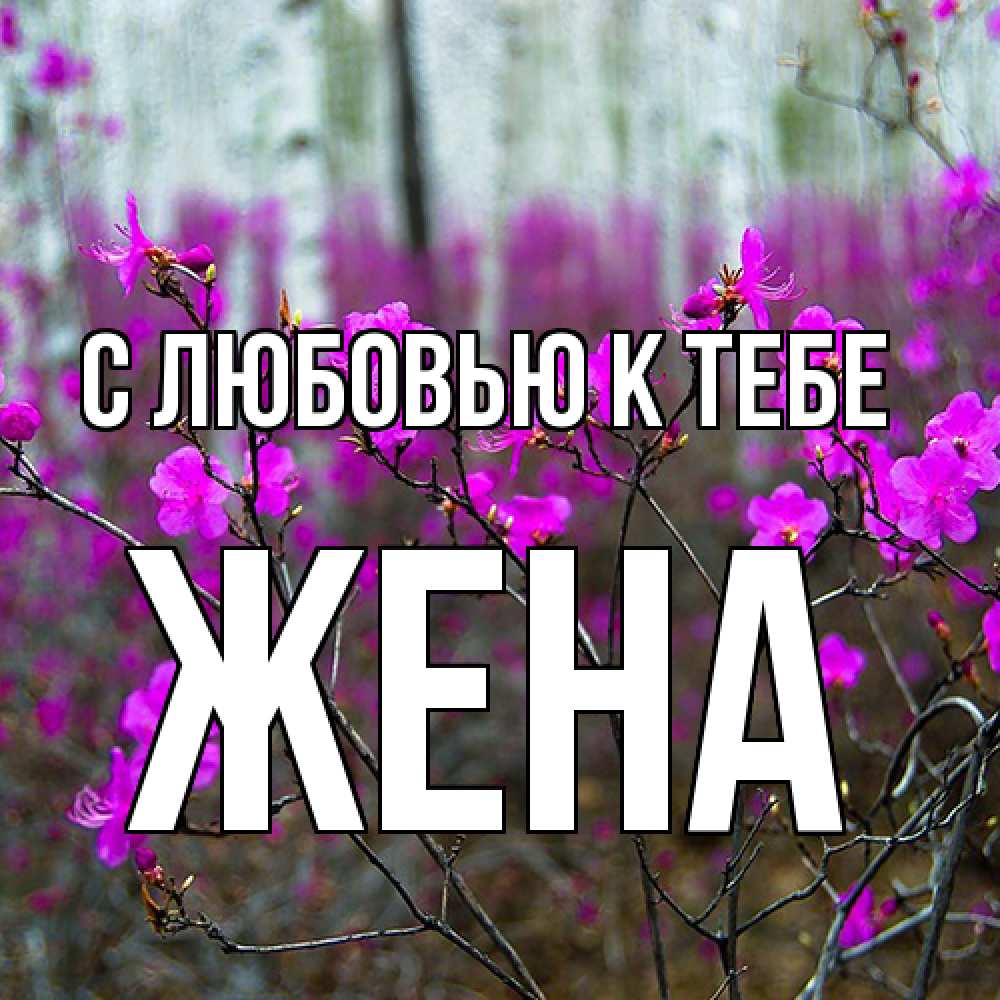 Открытка  с именем. Жена, С любовью к тебе  