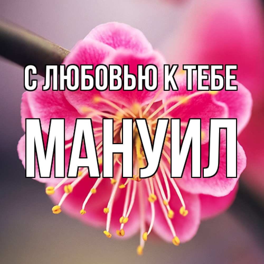 Открытка  с именем. Мануил, С любовью к тебе  