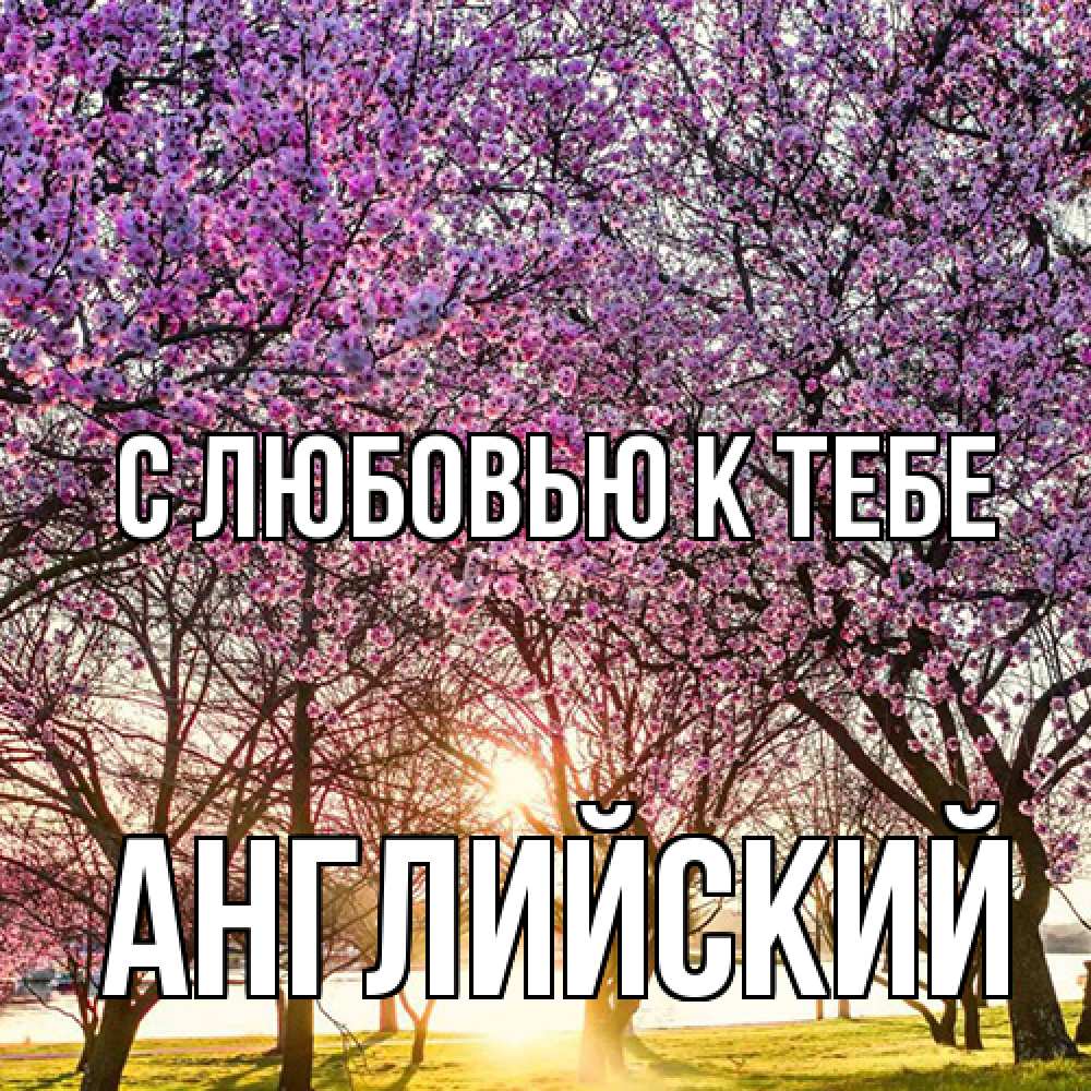 Открытка  с именем. Английский, С любовью к тебе  