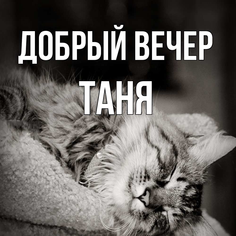 Открытка  с именем. Таня, Добрый вечер  