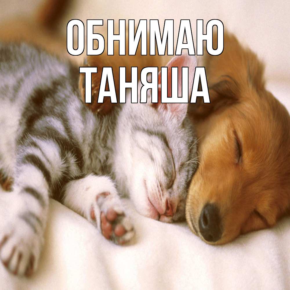 Открытка  с именем. таняша, Обнимаю  