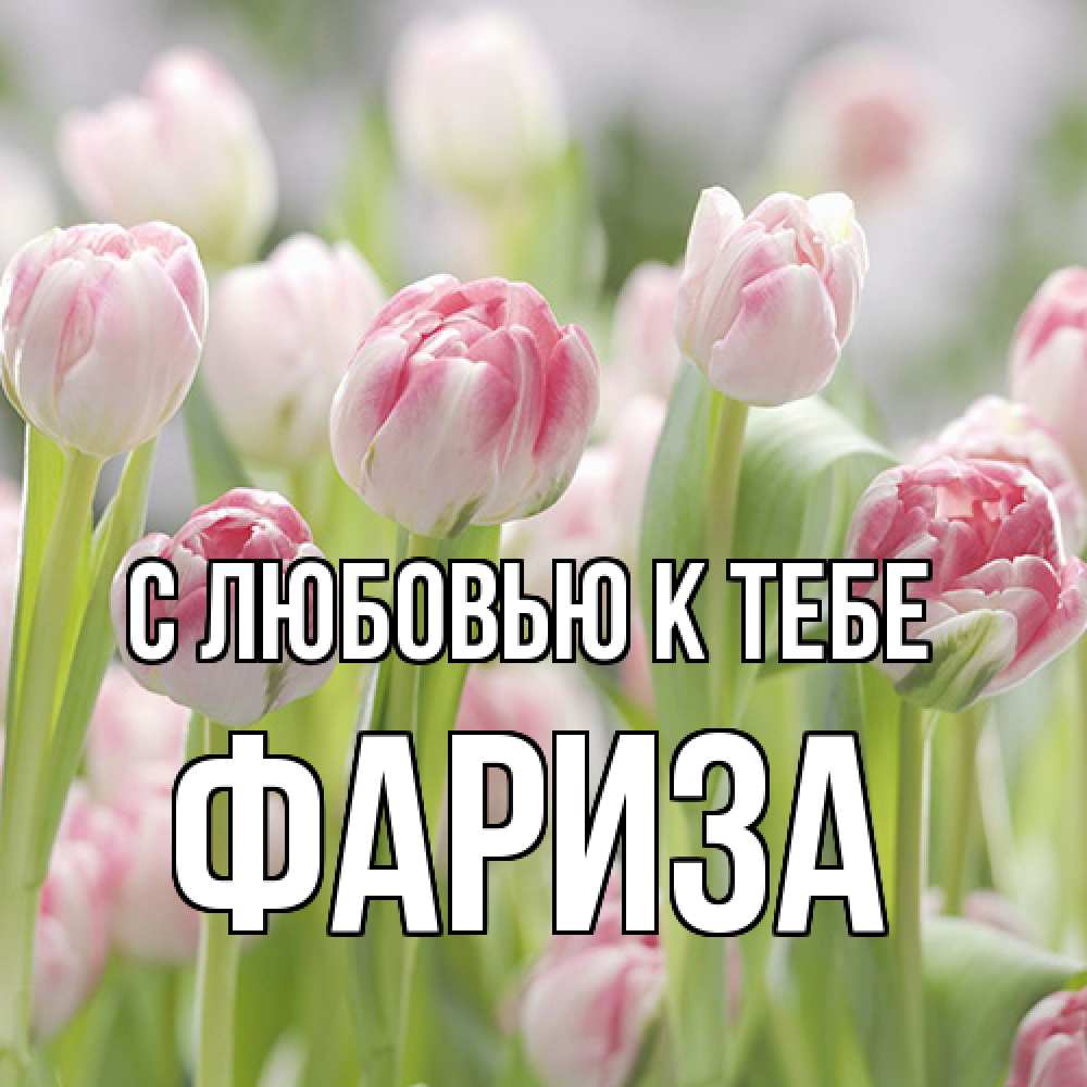 Открытка  с именем. Фариза, С любовью к тебе  