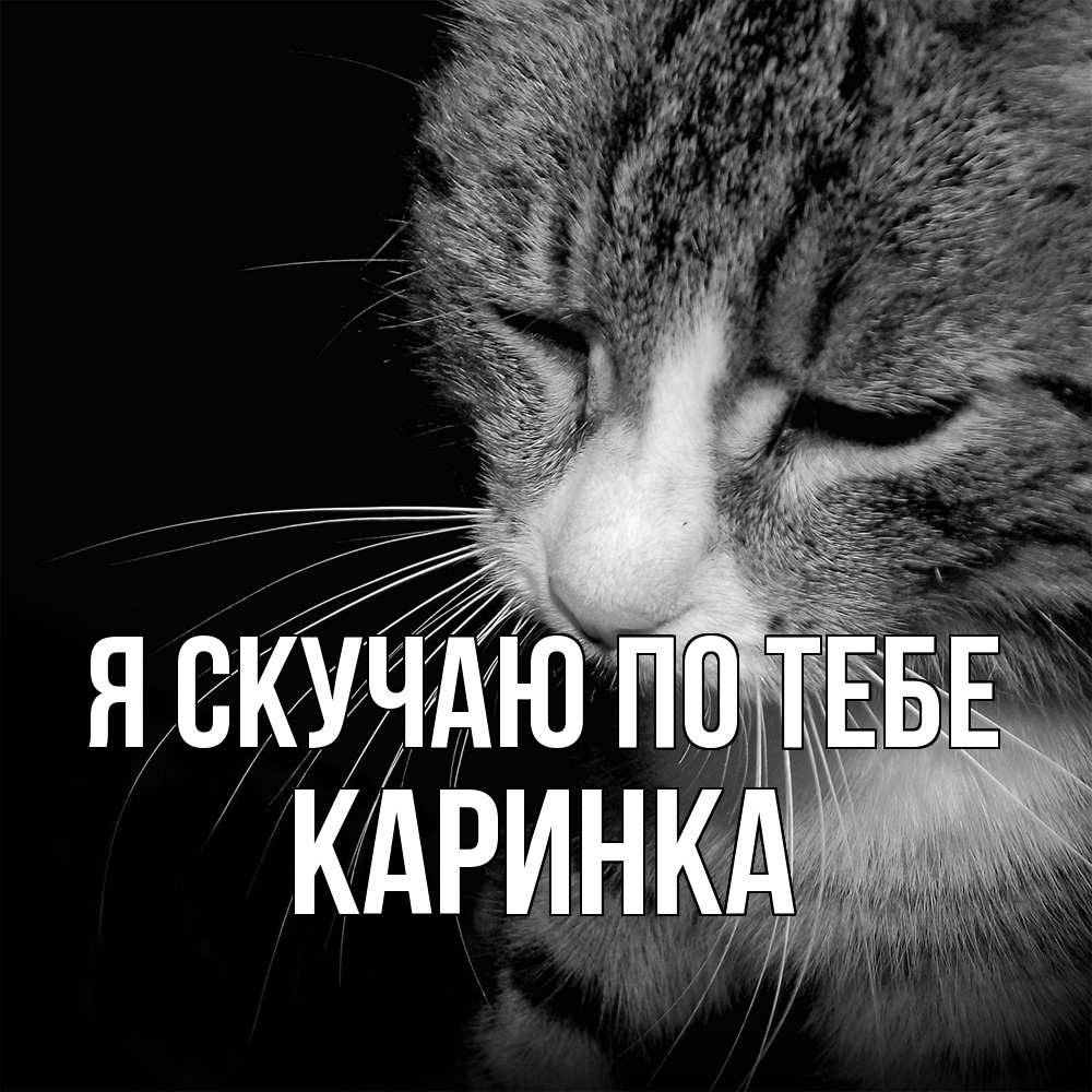 Открытка  с именем. Каринка, Я скучаю по тебе  