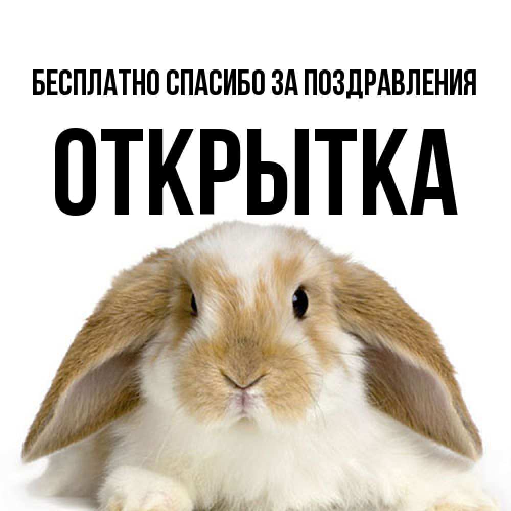 Открытка  с именем. открытка, Спасибо за поздравления  