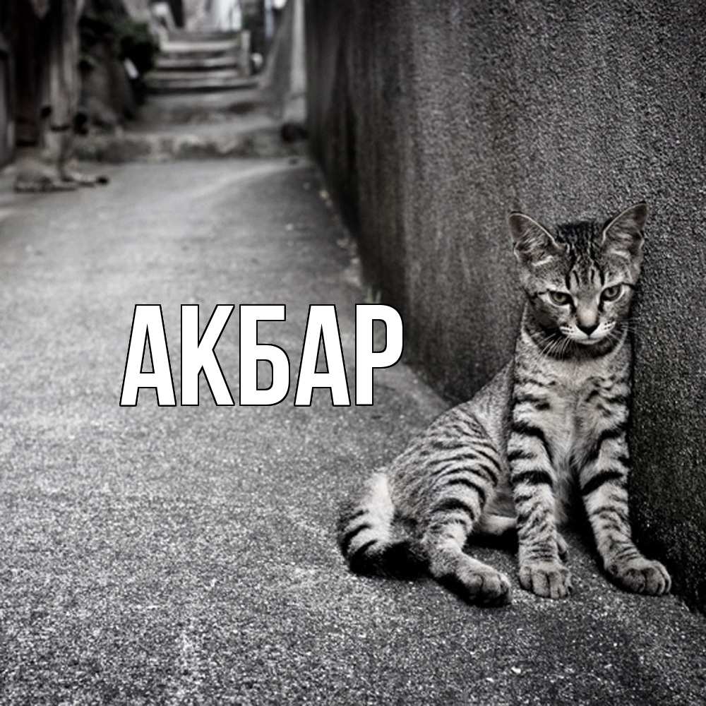 Открытка  с именем. Акбар, Главная  