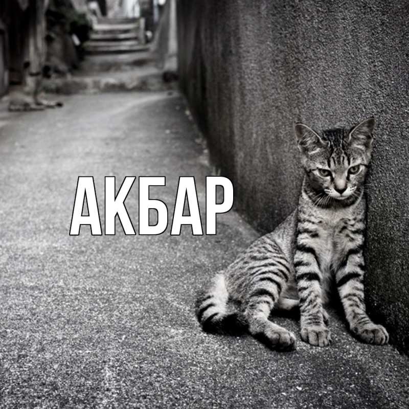 Картинка  с именем , Акбар