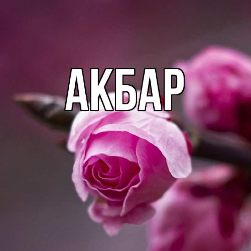 Картинка  с именем , Акбар