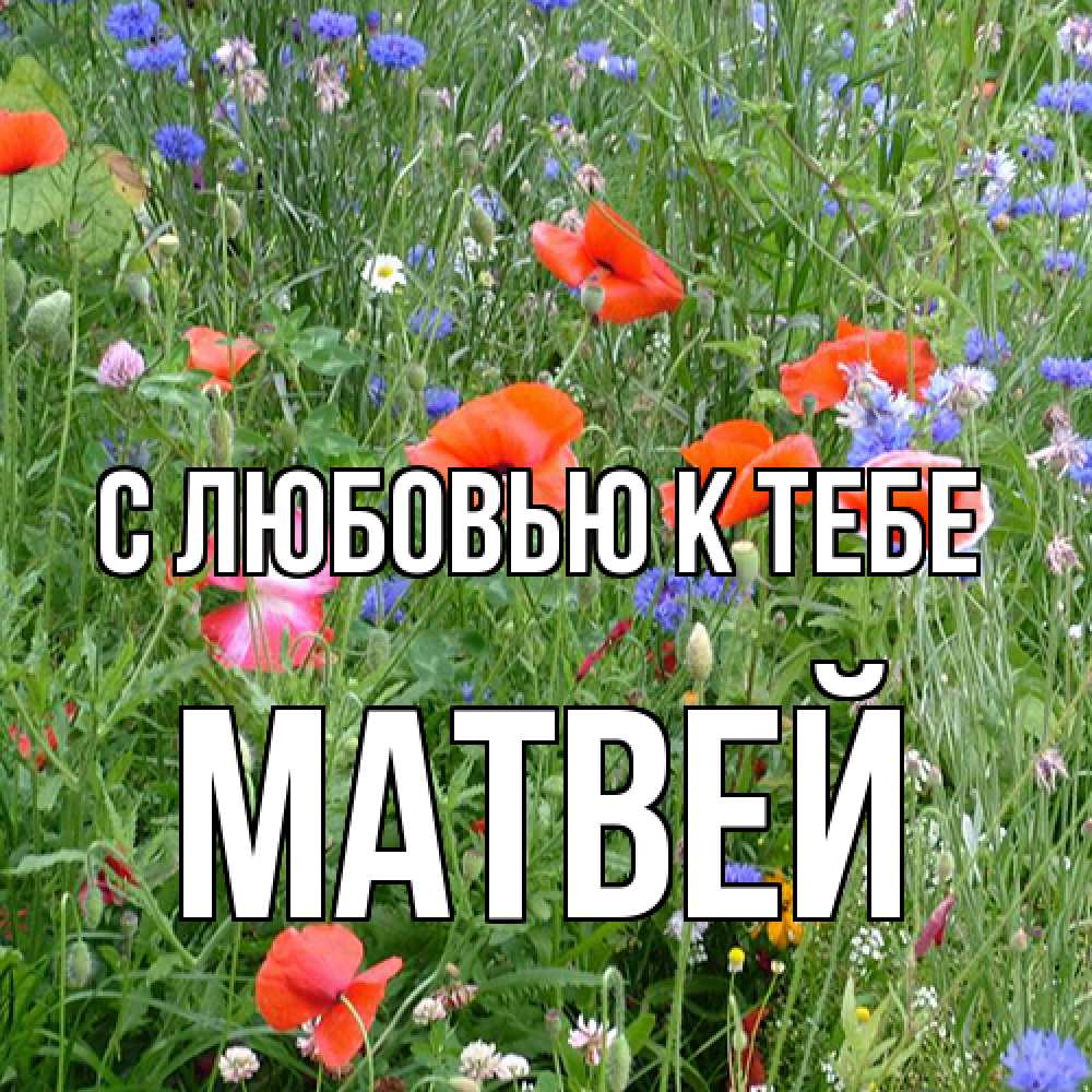 Открытка  с именем. Матвей, С любовью к тебе  