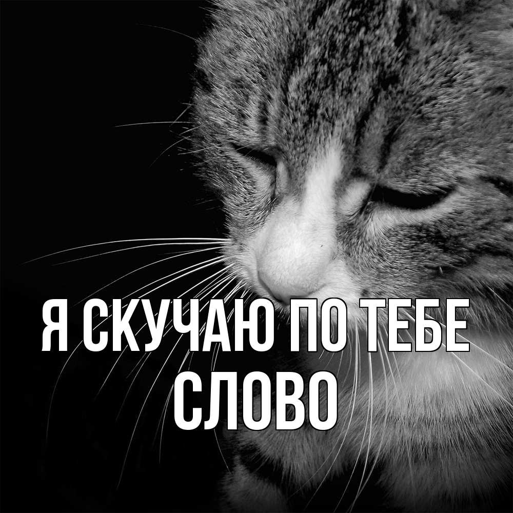 Открытка  с именем. слово, Я скучаю по тебе  