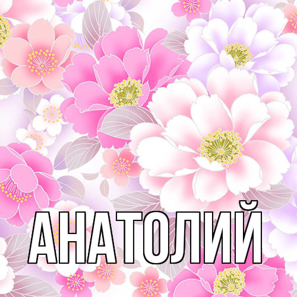 Открытка  с именем. Анатолий, Главная  
