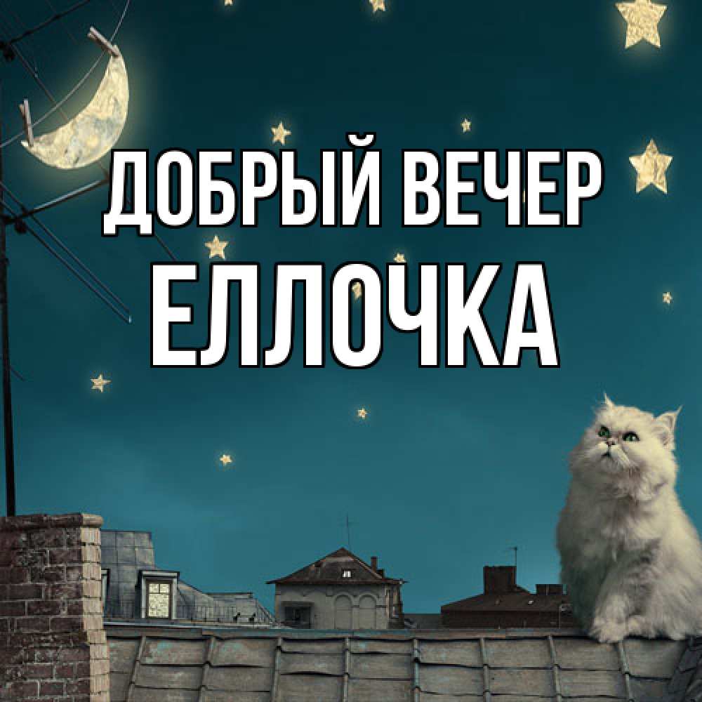 Открытка  с именем. Еллочка, Добрый вечер  