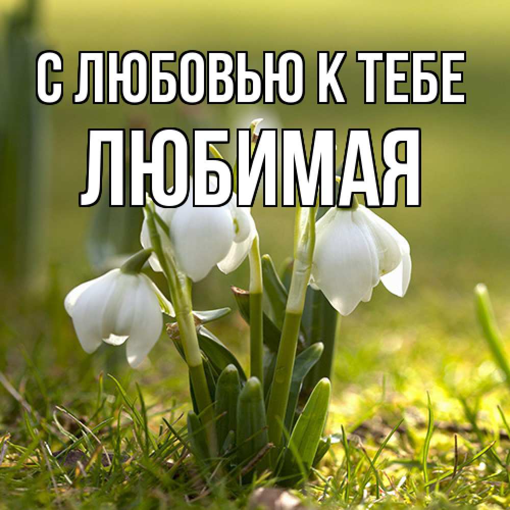 Открытка  с именем. Любимая, С любовью к тебе  