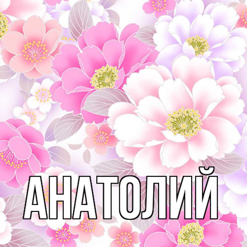 Картинка  с именем , Анатолий