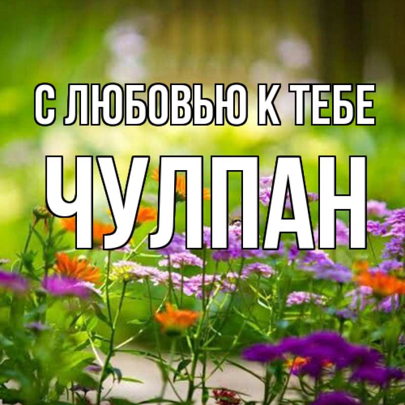 Картинка С любовью к тебе, Чулпан