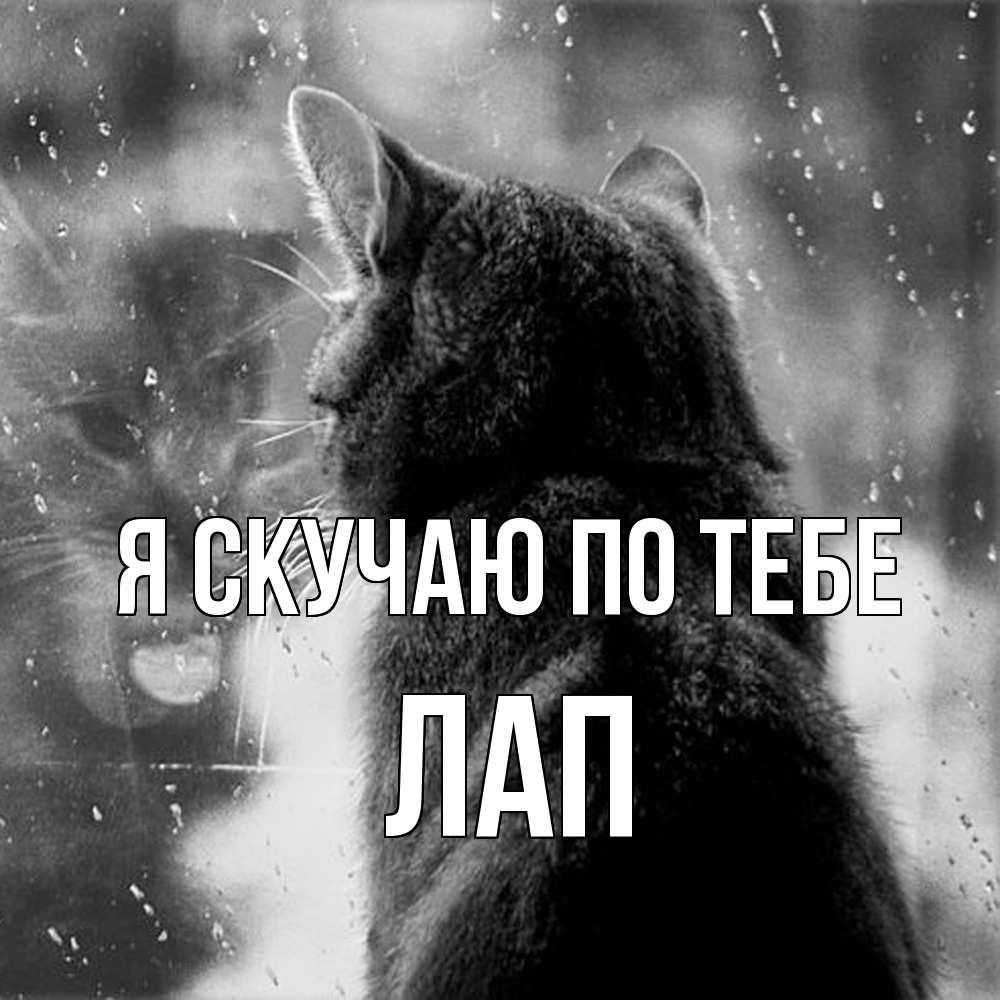 Открытка  с именем. Лап, Я скучаю по тебе  