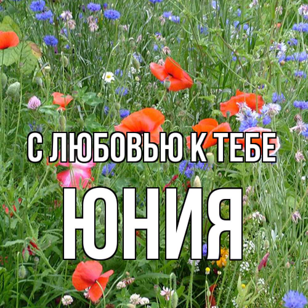 Открытка  с именем. Юния, С любовью к тебе  