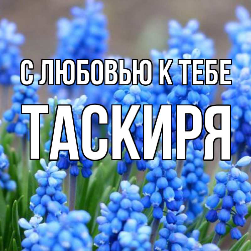 Картинка С любовью к тебе, Таскиря