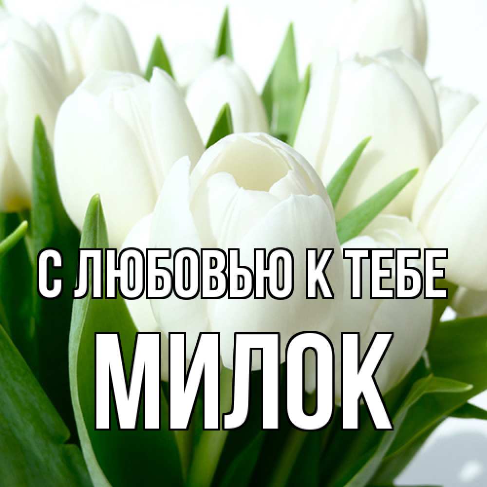 Открытка  с именем. Милок, С любовью к тебе  